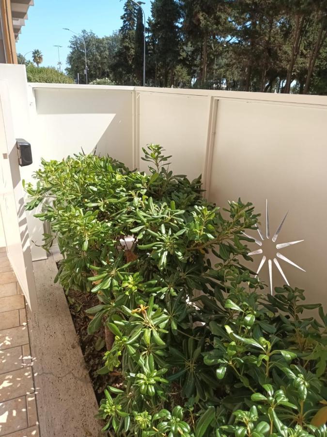 B&B Lido Apartament 10A ชิวิตาโนวา มาร์เค ภายนอก รูปภาพ
